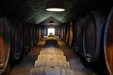 Lisbon Wine Tasting Private tour of the Setúbal Region