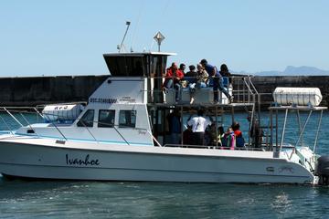 Big 5 Sea Safari in Walker Bay from Gansbaai