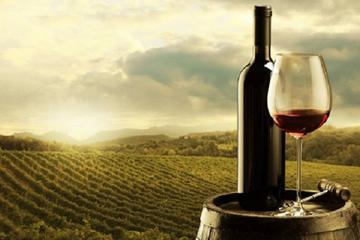8-Hour Semi-Private Évora City and Vineyard Tour