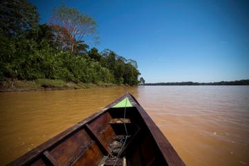 3-Day Amazon from Puerto Maldonado with Eco Lodge Accommodation