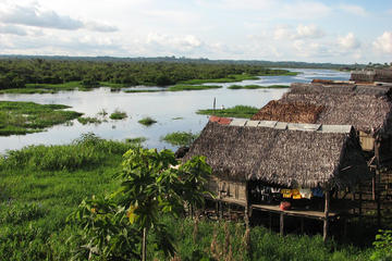 3-Day Amazon Jungle Adventure from Iquitos