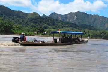 6-Day Madidi and Pampas Amazon from La Paz