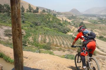 Road to Pachacamac Private Bike Tour