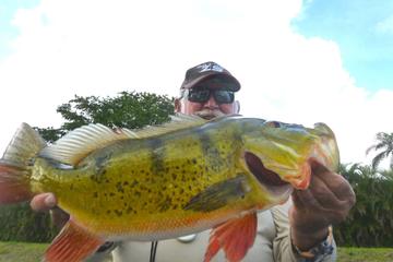 All Day Miami Peacock Bass Fishing Trip