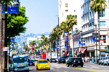Private Hollywood Tour - Walk of Fame, Hollywood Theaters, Amoeba Music and more