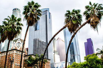 Private Los Angeles Must-See Tour