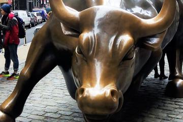 Private New York City Top Sights Walking Tour