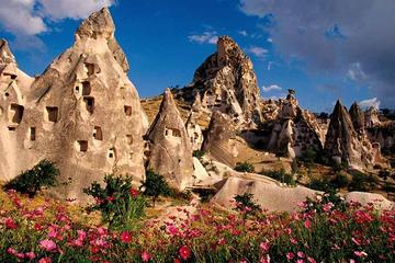 Classiques de la Cappadoce : visite guidée privée en minibus