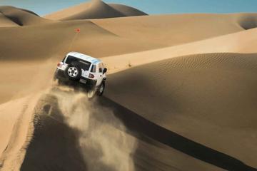 Abu Dhabi Morning Desert Safari- 4x4 Dune Bashing & Camel Ride & Bedouin Camp