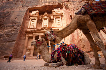 Best of Jordan Tour Lawrence of Arabia Petra and Dead Sea with Wadi Rum 7 Days