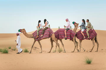 Dubai Camel Rock Desert Safari Nonstop Adventurous Drive and Dune Bashing