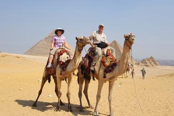 Half-Day Tour of the Pyramids of Giza and Sphinx