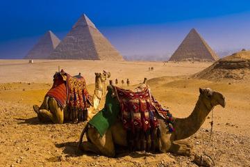 Private Over day from Hurghada to explore the high lights of Cairo with domestic flight and lunch included