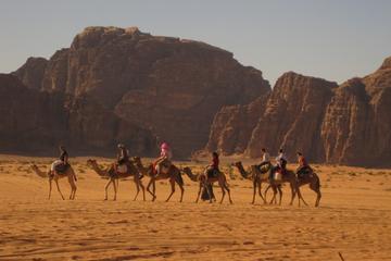 Sharm El Sheikh Bedouin Night with Star Gazing & BBQ with Live Belly Dance Show
