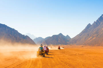 Sharm El Sheikh Safari -Quad Biking & ATV Tour with Camel Ride & Bedouin Dinner
