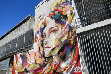 Auckland Street Art Walking Tour