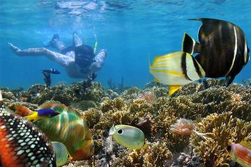 Blue Lagoon Snorkeling and Bat Cave Temple Tour