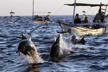 Lovina Dolphin and Taman Ayun Tour