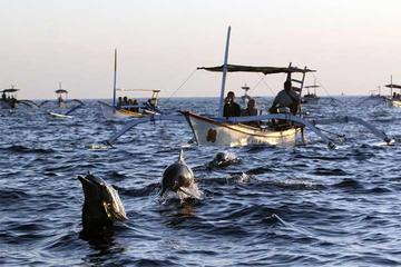 Lovina Dolphin and Tanah Lot Tour