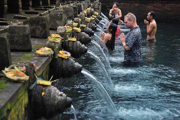 Private Chartered Car to Bali Temples With Besakih Temple