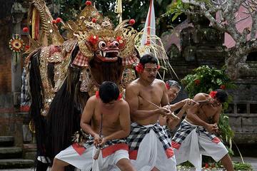 Private Chartered Car to Ubud Villages and Tanah Lot