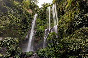 Sekumpul Waterfall and Bedugul Tour