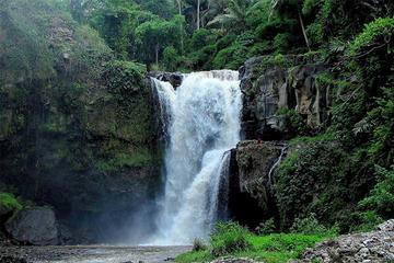 Ubud Half Day Tour