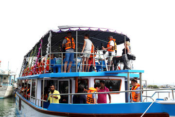 Whale Watching Cruise from Unawatuna