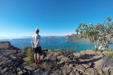 Isla Espiritu Santo Exploration with Sea Lions Snorkeling and Kayaking