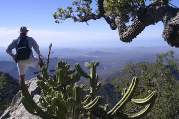 Sierra de la Laguna Biosphere Reserve Hike from Todos Santos