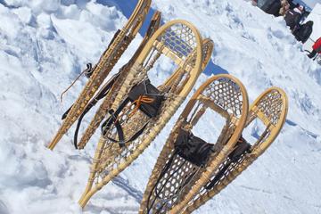 Yellowknife Snowshoeing Tour