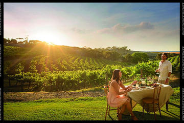 Private Swan Valley Tours by Luxury Vehicle from Perth