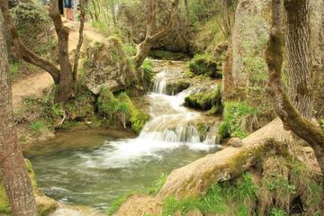 Private Day Tour to pure nature of Zlatibor Mountain