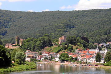 Half-day excursion from Heidelberg