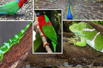 Day Trip to Kula Eco Park and Local School