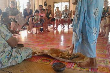 Half-Day Coral Coast Tour of Traditional Fiji from Denarau or Nadi