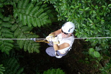Half-Day Fiji Zip-Line Tour From Coral Coast Hotels