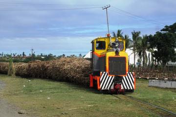 LAUTOKA SIGHTSEEING TOUR