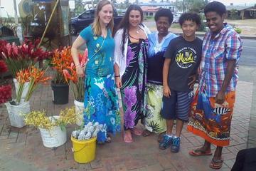 Mud Pool Tour with Garden of the Sleeping Giant Visit from First Landing and Vuda Hotels