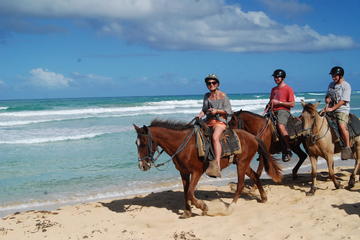 2-Hour Horseback Riding Adventure from Punta Cana
