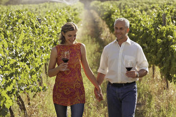 Private Tour: Fraser Valley Wine Tour in Vancouver