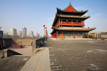 Full-Day Private Tour of Terra-cotta Warriors and City Wall from Xi'an