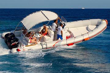 Dolphin Habitat Trip Hurghada