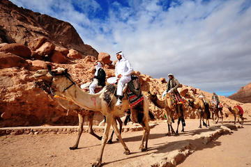 3-Day 2-Night Camel Safari to Wadi Rum from Dahab