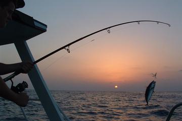 Fishing Trip in Dahab