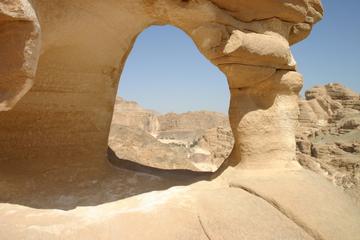 Full-Day Camel Safari to the White Canyon