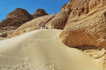 Full Day Sand Dunes Safari from Dahab