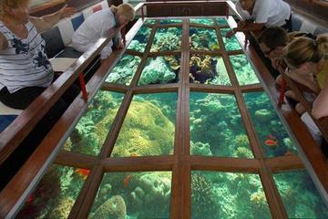 Glass Bottom Boat