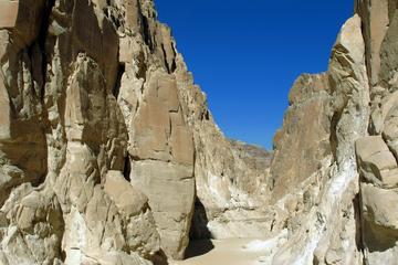 Jeep and Camel Safari 2 Days and 1 Night