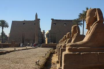 Luxor by Plane One Day Tour from Dahab